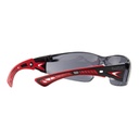 Lunettes de protection Polycarbonate fumé RUSH+
